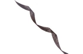 лента нитепрошивная 10мм цв черный (рул 100м) danelli l4yp44 купить по 155.4 - в интернет - магазине Веллтекс | Владивосток
.